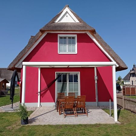 Dat Papenboerger Hus Zierow Ngoại thất bức ảnh